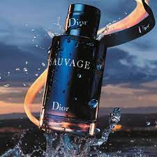 INVICTUS /BLEU CHANEL/SAUVAGE